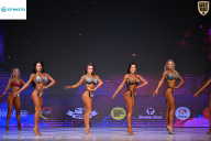 Кубок Ивановской области по бодибилдингу - 2026