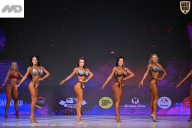 Кубок Ивановской области по бодибилдингу - 2026