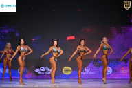 Кубок Ивановской области по бодибилдингу - 2026