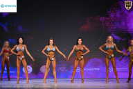 Кубок Ивановской области по бодибилдингу - 2026