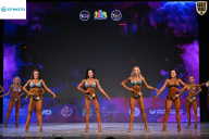 Кубок Ивановской области по бодибилдингу - 2026