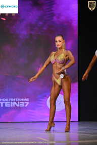 Кубок Ивановской области по бодибилдингу - 2026