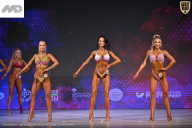 Кубок Ивановской области по бодибилдингу - 2026