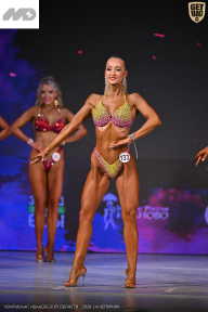 Кубок Ивановской области по бодибилдингу - 2026