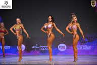 Кубок Ивановской области по бодибилдингу - 2026