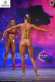 Кубок Ивановской области по бодибилдингу - 2026