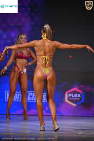 Кубок Ивановской области по бодибилдингу - 2026