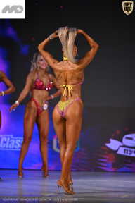 Кубок Ивановской области по бодибилдингу - 2026