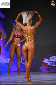 Кубок Ивановской области по бодибилдингу - 2026