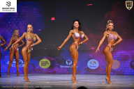 Кубок Ивановской области по бодибилдингу - 2026