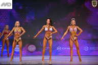 Кубок Ивановской области по бодибилдингу - 2026