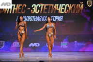 Кубок Ивановской области по бодибилдингу - 2026