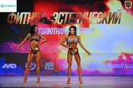 Кубок Ивановской области по бодибилдингу - 2026