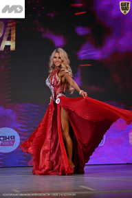 Кубок Ивановской области по бодибилдингу - 2026