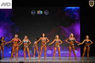 Кубок Ивановской области по бодибилдингу - 2026