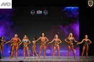 Кубок Ивановской области по бодибилдингу - 2026