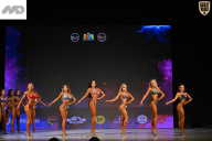 Кубок Ивановской области по бодибилдингу - 2026