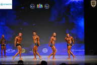 Кубок Ивановской области по бодибилдингу - 2026