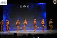 Кубок Ивановской области по бодибилдингу - 2026