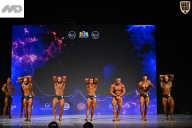 Кубок Ивановской области по бодибилдингу - 2026