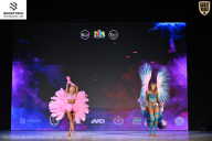 Кубок Ивановской области по бодибилдингу - 2026