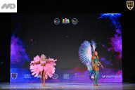 Кубок Ивановской области по бодибилдингу - 2026