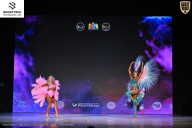 Кубок Ивановской области по бодибилдингу - 2026