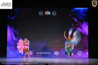 Кубок Ивановской области по бодибилдингу - 2026