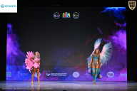 Кубок Ивановской области по бодибилдингу - 2026