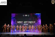 Кубок Ивановской области по бодибилдингу - 2026