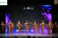 Кубок Ивановской области по бодибилдингу - 2026