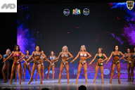 Кубок Ивановской области по бодибилдингу - 2026