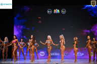 Кубок Ивановской области по бодибилдингу - 2026