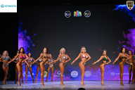 Кубок Ивановской области по бодибилдингу - 2026