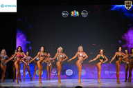 Кубок Ивановской области по бодибилдингу - 2026