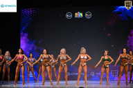 Кубок Ивановской области по бодибилдингу - 2026