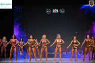 Кубок Ивановской области по бодибилдингу - 2026