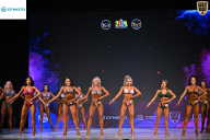 Кубок Ивановской области по бодибилдингу - 2026