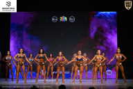 Кубок Ивановской области по бодибилдингу - 2026