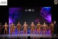 Кубок Ивановской области по бодибилдингу - 2026