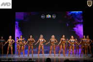 Кубок Ивановской области по бодибилдингу - 2026