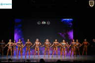 Кубок Ивановской области по бодибилдингу - 2026