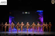 Кубок Ивановской области по бодибилдингу - 2026