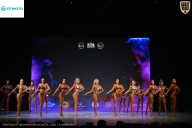 Кубок Ивановской области по бодибилдингу - 2026