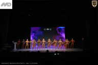 Кубок Ивановской области по бодибилдингу - 2026