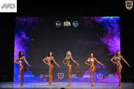 Кубок Ивановской области по бодибилдингу - 2026