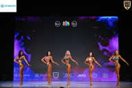 Кубок Ивановской области по бодибилдингу - 2026