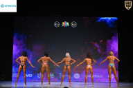 Кубок Ивановской области по бодибилдингу - 2026