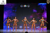 Кубок Ивановской области по бодибилдингу - 2026