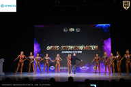 Кубок Ивановской области по бодибилдингу - 2026